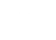 lower-arcana